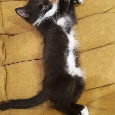 Изготовление бескаркасной мебели на заказ. Фото результата и отзыв клиента с оценкой 5/5.